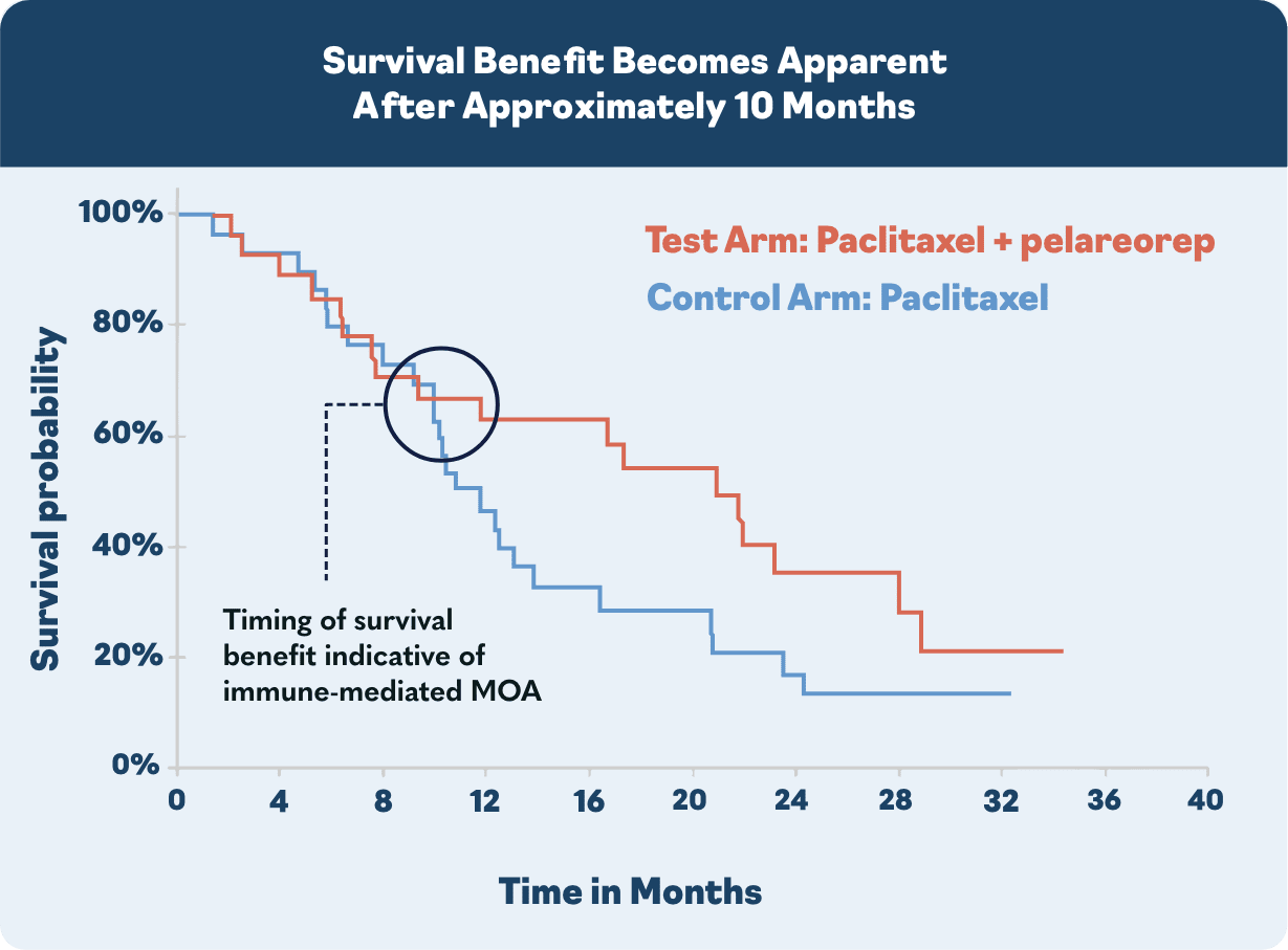 survival benefit becomes apparent after approximately 10months - chart